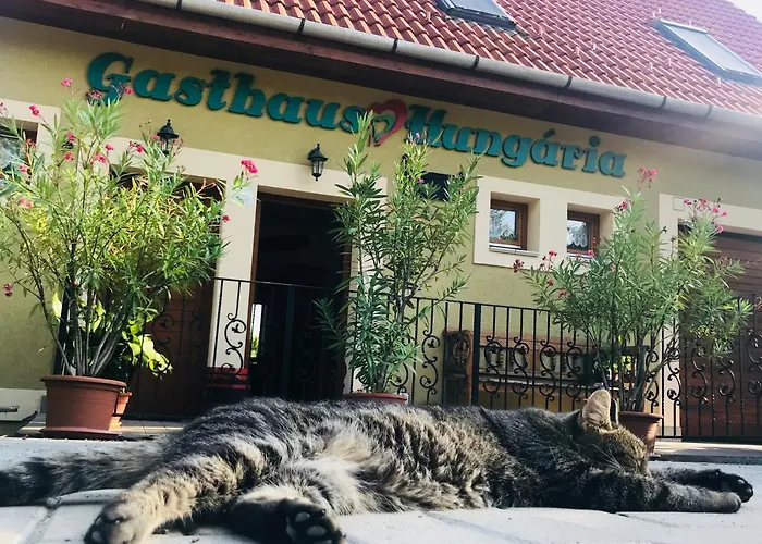 Hungária Maison d'hôtes 3*
