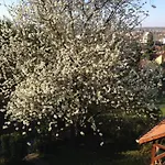 Hungária 3*