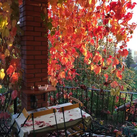 게스트하우스 Hungaria Vendeghaz 3*