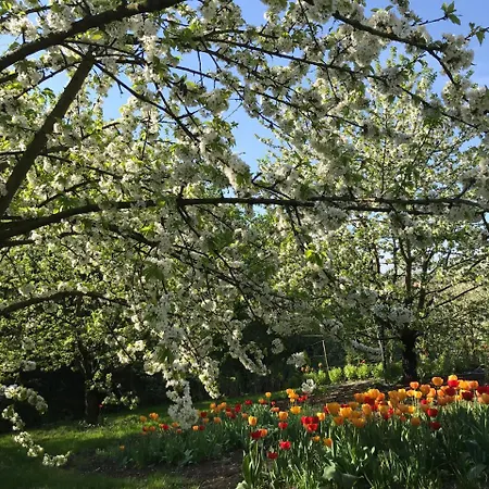 게스트하우스 Hungaria Vendeghaz