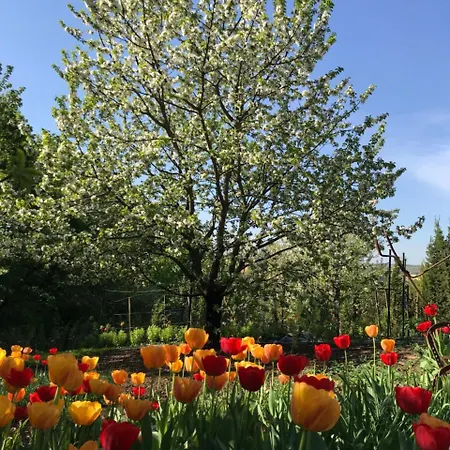 Hungaria Vendeghaz 3*