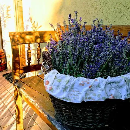 Hungaria Vendeghaz 에게르